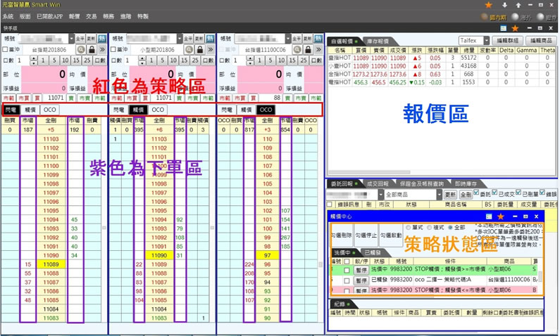 2大戶系統 元富期富 小靜